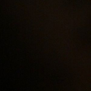 Meet your Posher, Ann